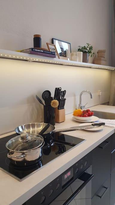 Moka Living-Sunset Apt, Nordic Design,Kueche,Wlan, Smarttv Maagdenburg Buitenkant foto